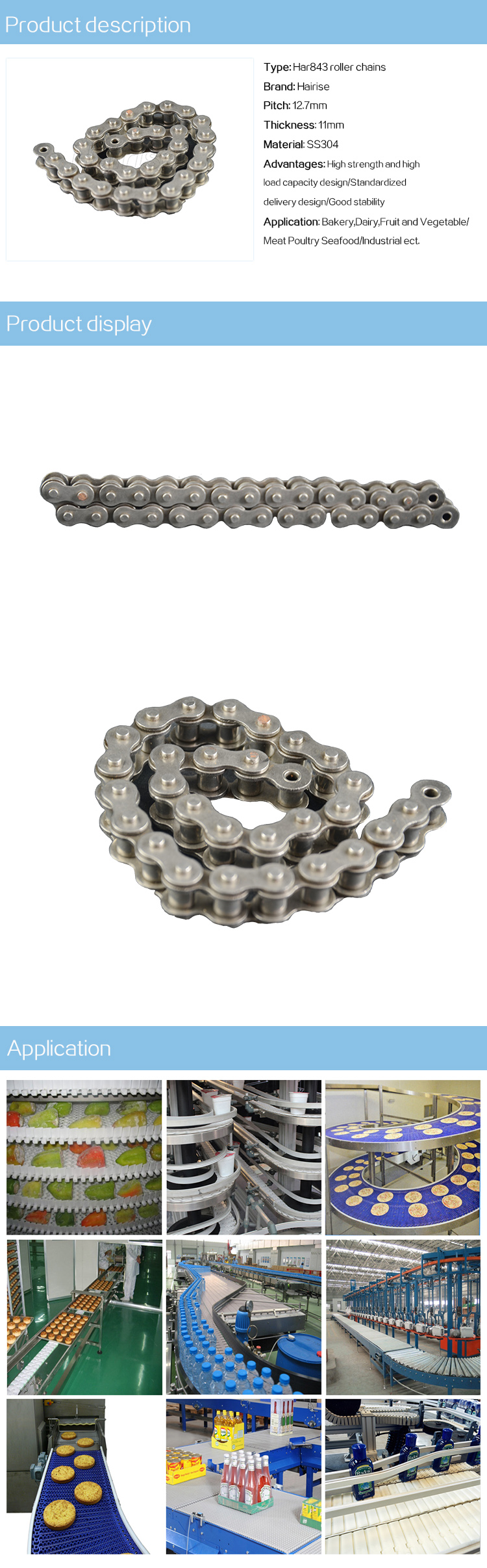 843 roller chains.jpg