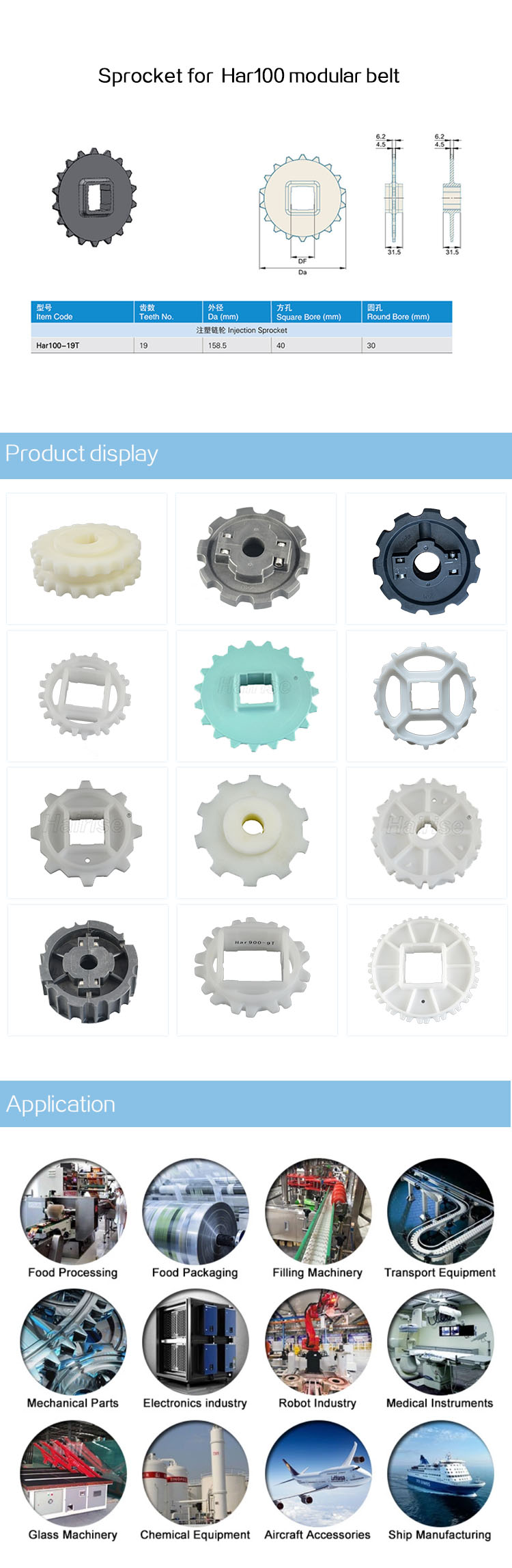 Sprocket 100 modular belt.jpg