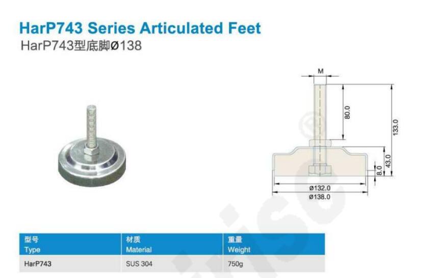 P743 feet.jpg